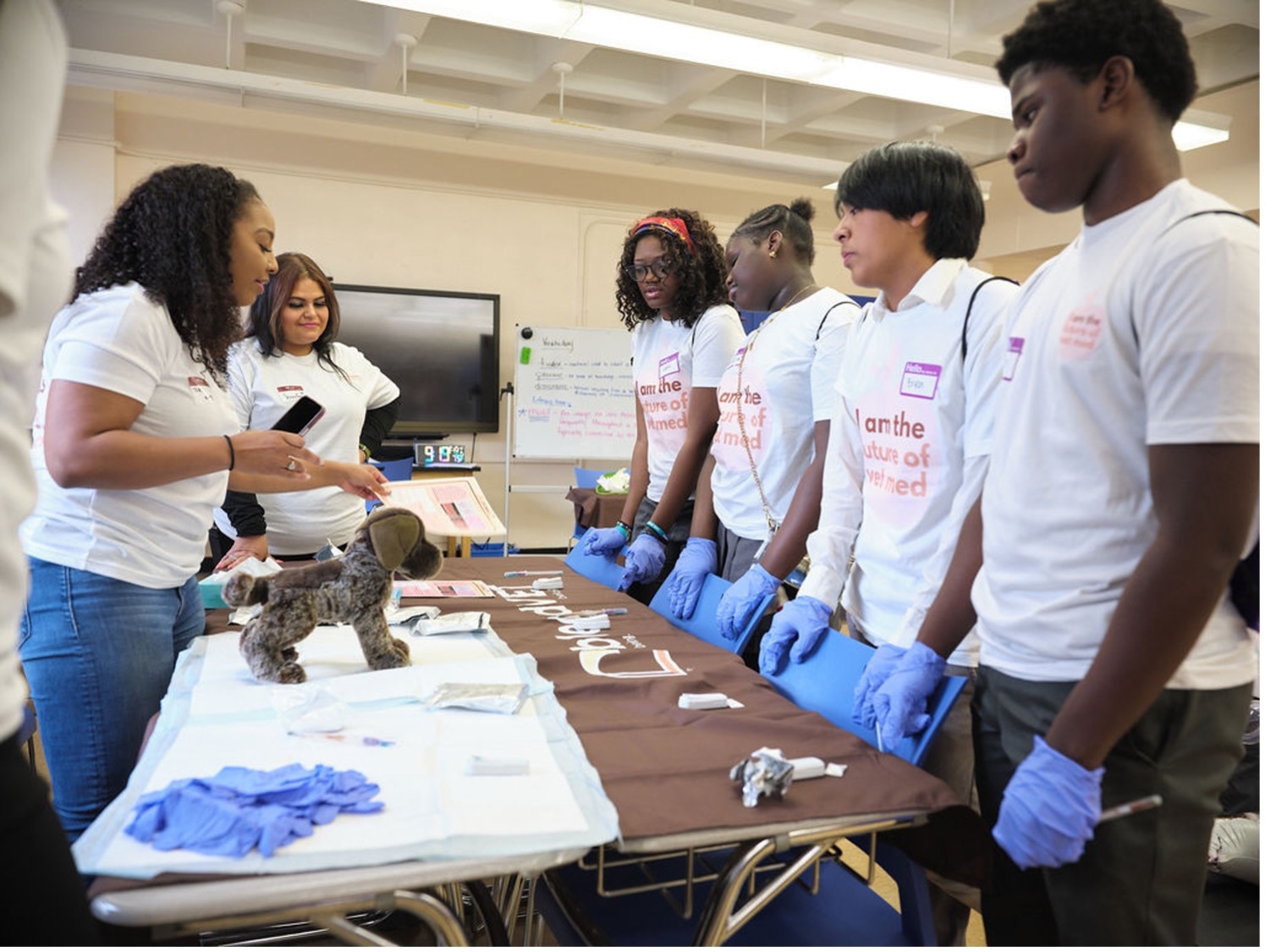 Blendvet is believed and belongs to medical youth route events where students engage in interactive labs