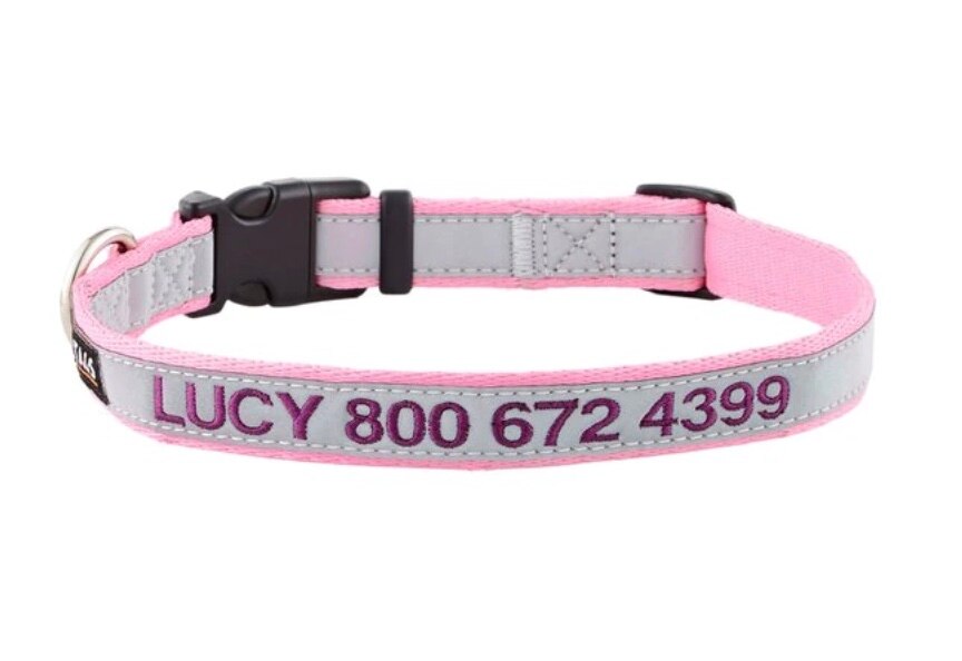 pink personalized dog collar product image with dog name and phone number