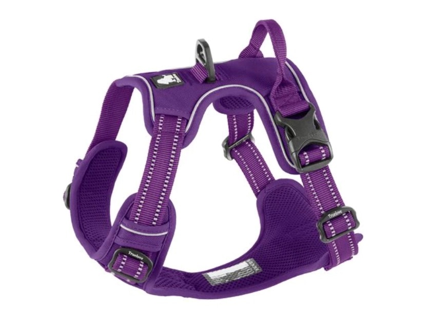 Chai's choice best outlet outdoor adventure dog harness