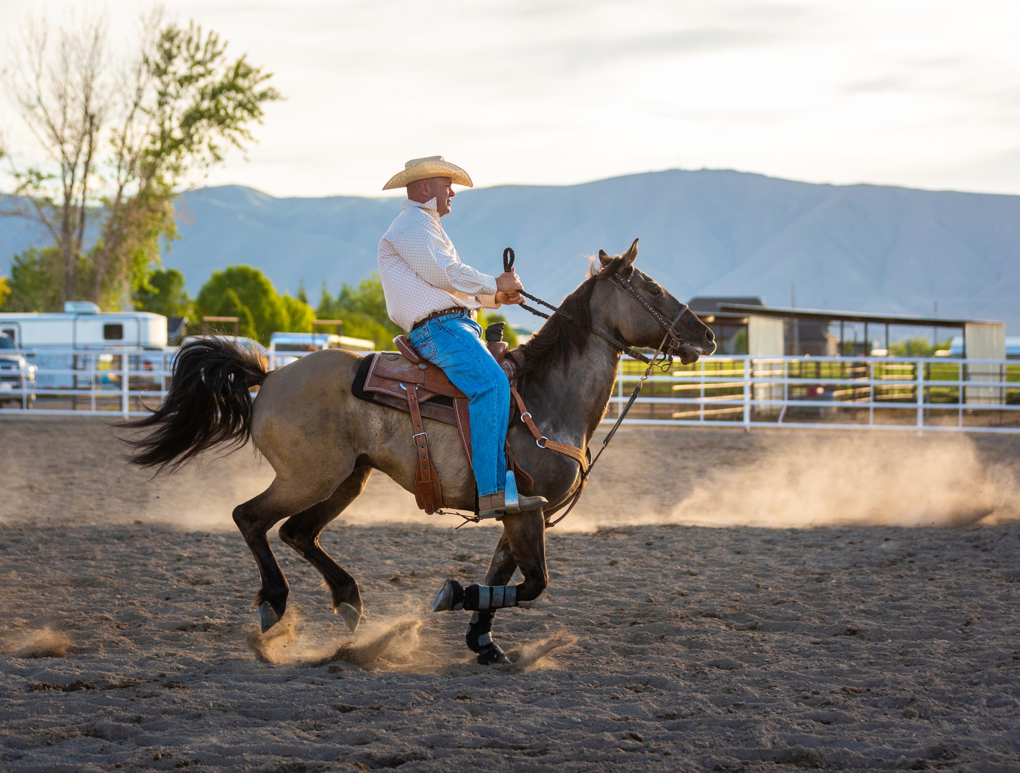 Quarter Horse western riding