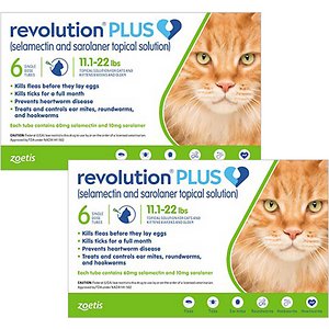 Revolution Plus猫用局部解决方案，11.1-22磅