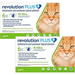 Revolution Plus猫用局部解决方案，11.1-22磅