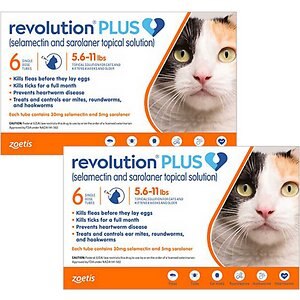Revolution Plus猫用局部解决方案，5.6-11磅