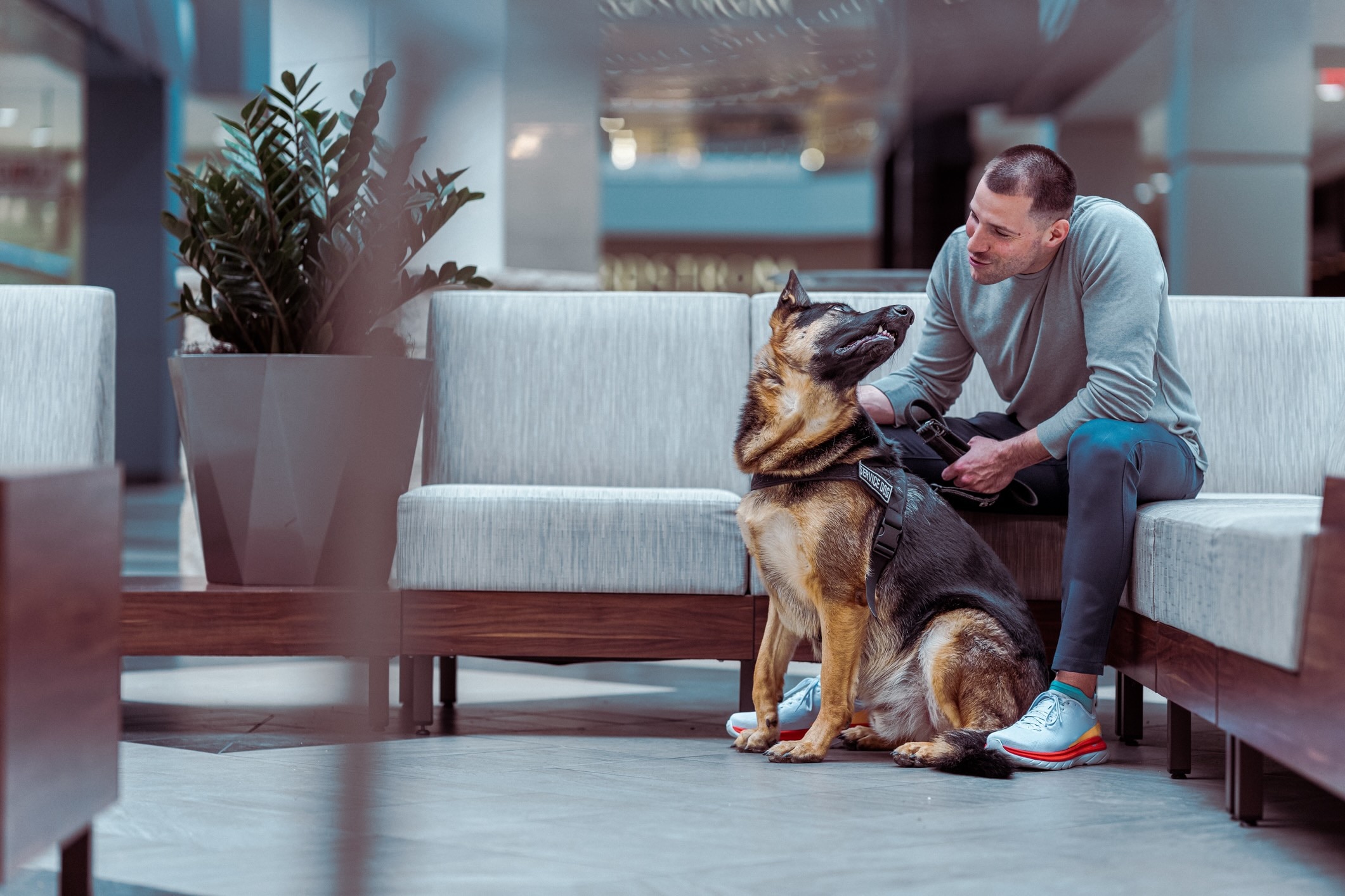 man sitting on a couch with a german shepherd in front of him, the german shepherd is wearing a service dog vest