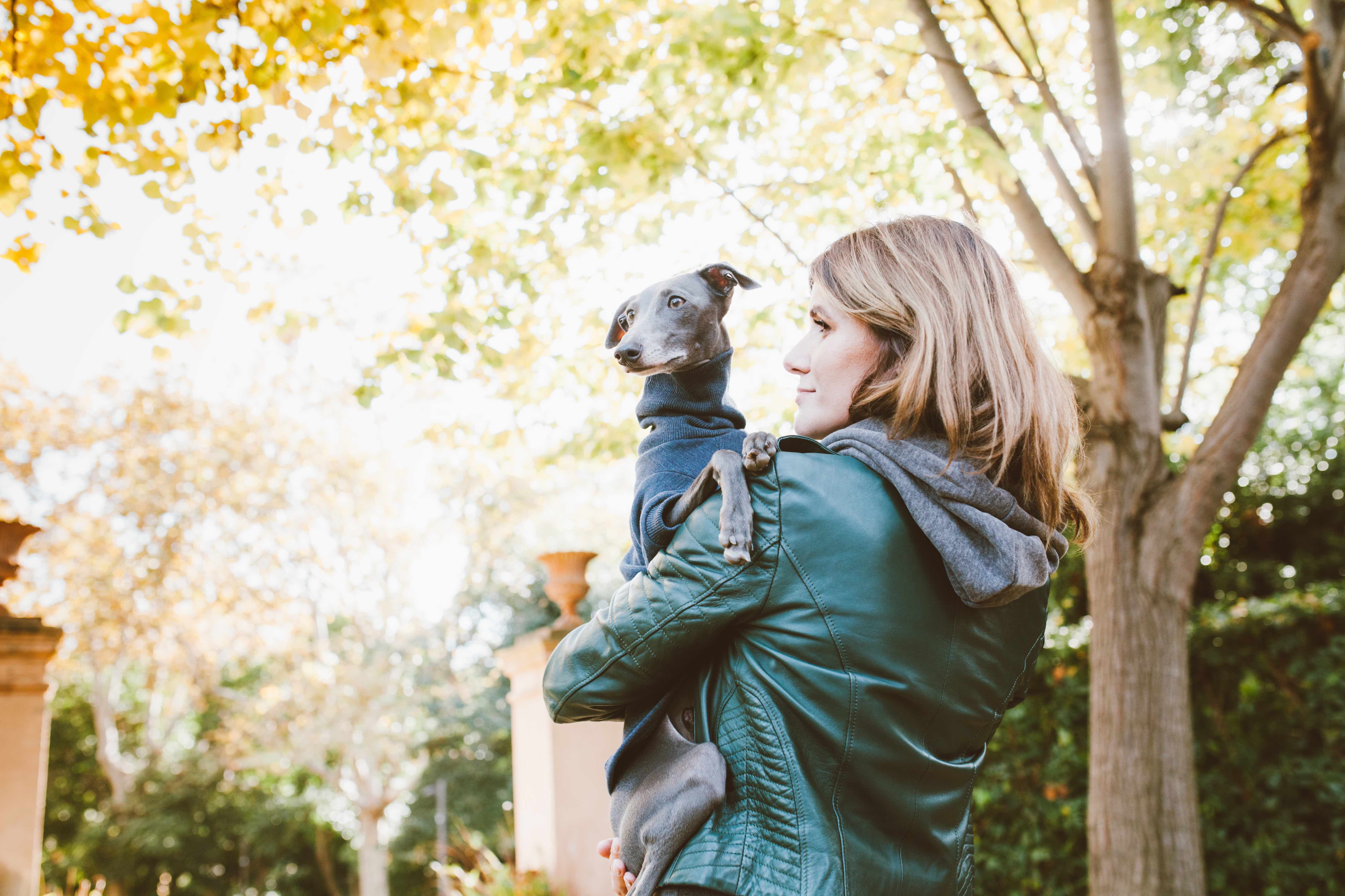 woman holding a gray italian greyhound wearing a sweater