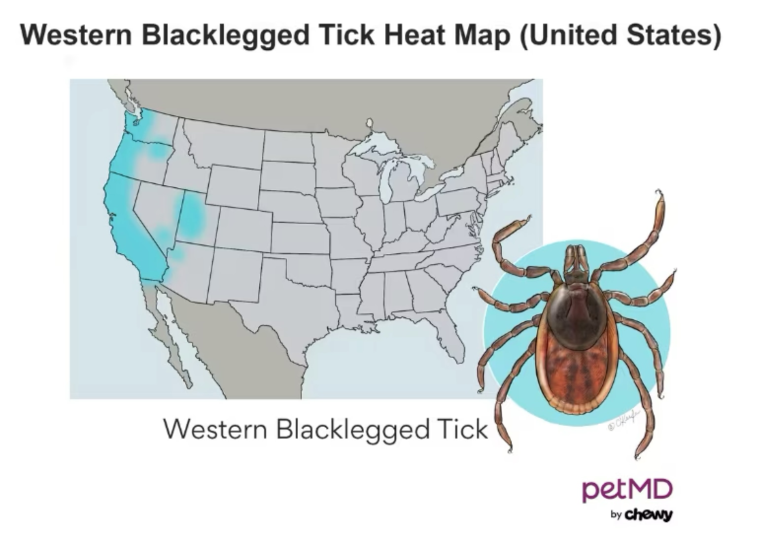 A heat map of the most populous locations for the Western black-legged tick.