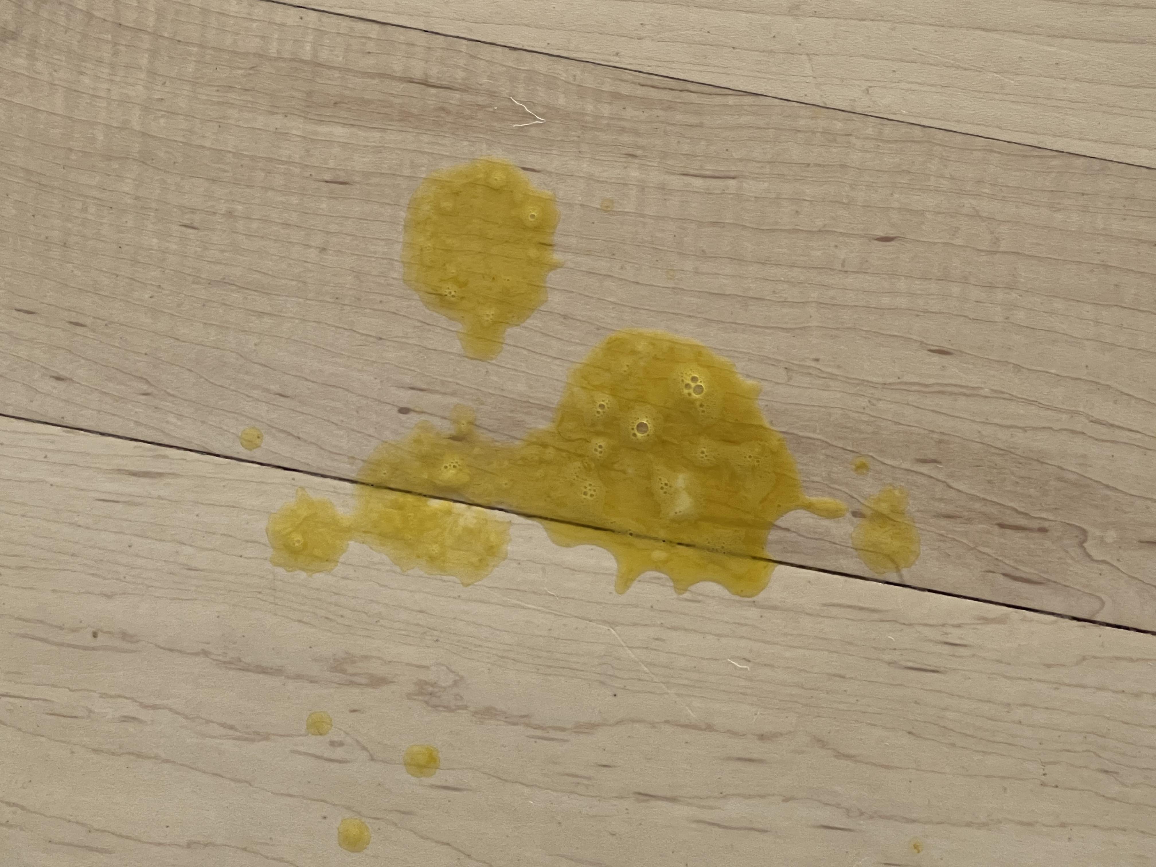 puppy-vomiting-yellow-foam