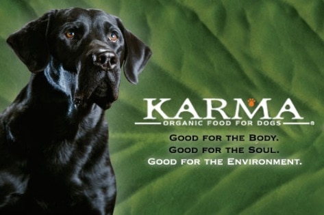 Natura Pet Recalls Karma Dog Food