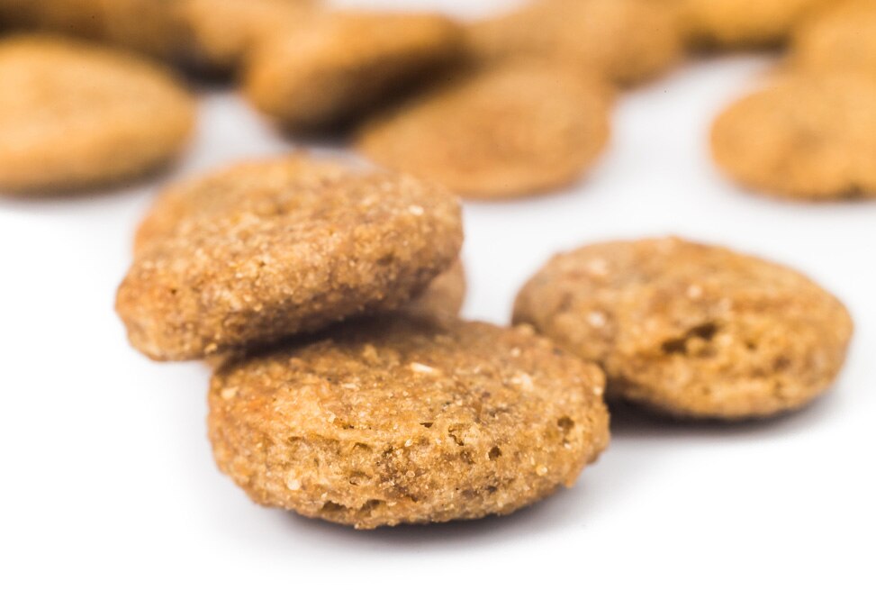 5 Ways to Keep Your Dog Feeling Full PetMD