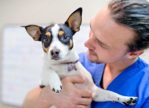 Does Your Dog Need the Kennel Cough Vaccine?