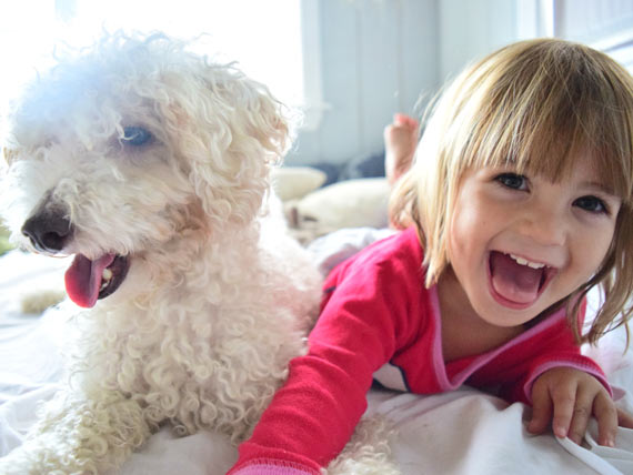 Worried About Allergies in Your Kids? Get a Pet