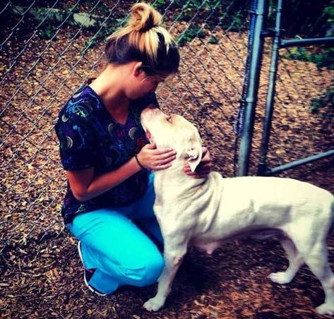 Abused Pit Bull Saved by Heartbreaking Craigslist Ad