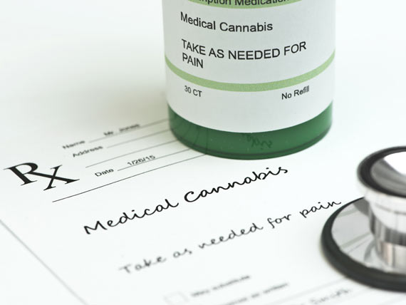 How Much Do We Know About Medical Marijuana for Pets?