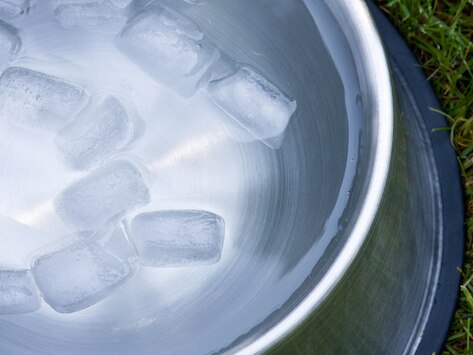 Can Dogs Eat Ice?