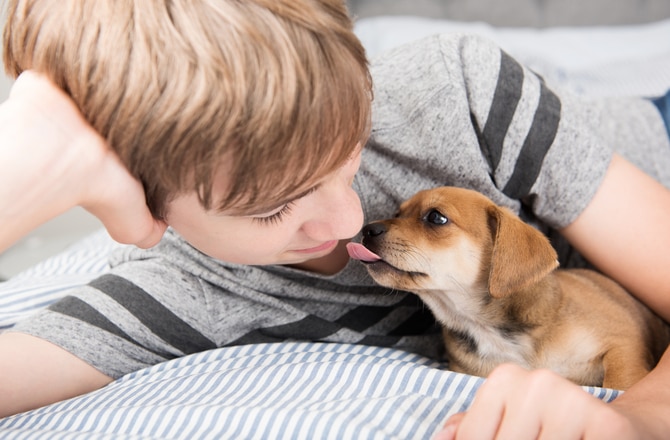 should you hold a newborn puppy