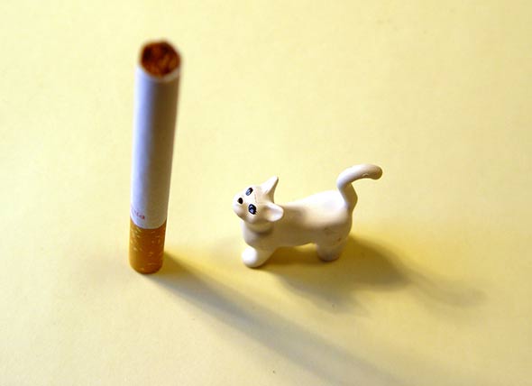 Can Pets Get Cancer from Owners’ Smoking?
