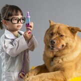 Would You Trust Your Pet to a Veterinary Student?