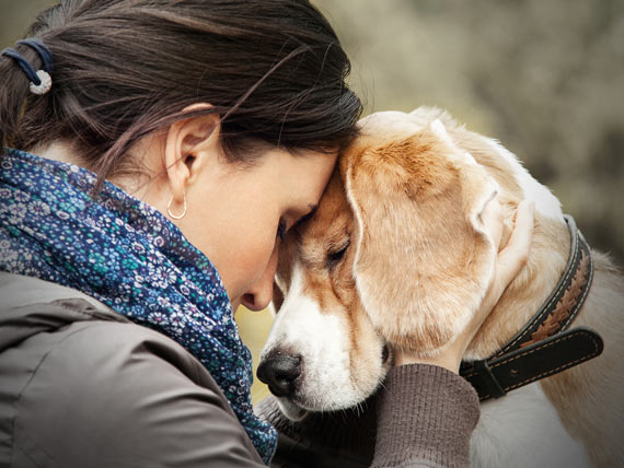 Protecting Pets in Abusive Human Relationships