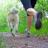 The Role of Exercise in Pet Weight Loss