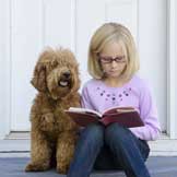 The Role Pets Play in Helping Autistic Children