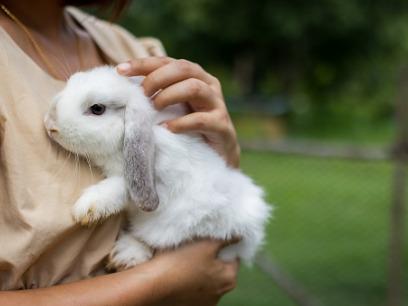 woman-holding-white-bunny-close-to-chest