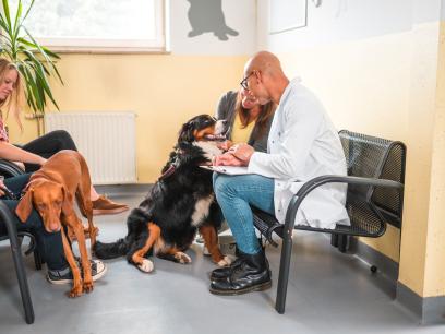 vet in waiting room with dog and owner