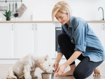 healthy eating for dogs-white dog eating out of white bowl