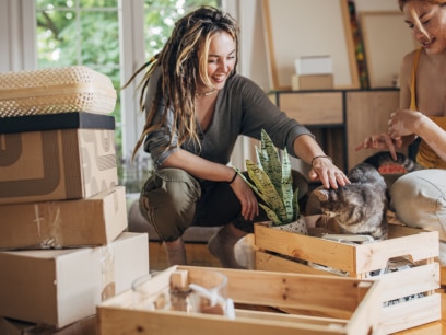 caring for new cat-two women play with new cat in home