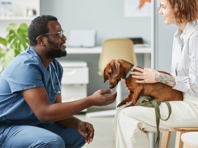 pet insurance for dogs-a vet discusses pet insurance options with a woman and her dog