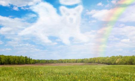 7 Things Not to Say When a Friend's Pet Crosses the Rainbow Bridge