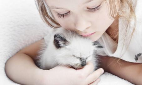 Top Five Calm Cats for Kids