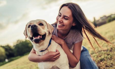 what does a tooth abscess look like on a dog