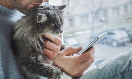 What to Expect From an Online Vet Visit