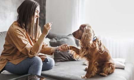 Can You Use Cat Flea and Tick Products on Dogs?