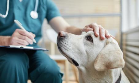 A Pet Insurance Limitations, paymets, and deductibles