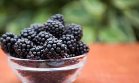 Can Dogs Eat Blackberries?