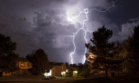 Thunderstorm and Lightning Safety for Pets