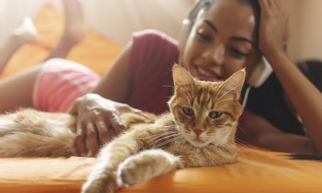 6 Things to Know Before Using Natural Flea and Tick Products on Cats