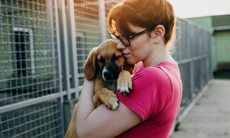 What to Know: Adopting a Dog After Parvovirus