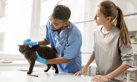 Hip Dysplasia in Cats