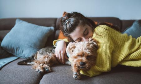 how long does it take for insulin to work in dogs