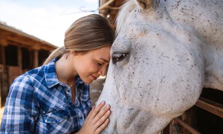 如何读懂马的肢体语言