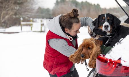 Cold Weather Safety Tips for Traveling With Your Pet