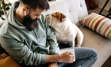 Palliative Care & Hospice Care for Dogs | PetMD