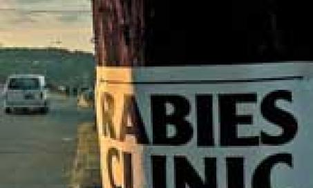 No Excuse for Skipping Rabies Vaccination
