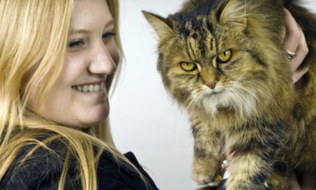 Understanding Cat Behavior: Getting Visitors to Respect Your Cat’s Space