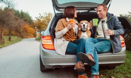 Essential Checklist for a Road Trip With Dogs