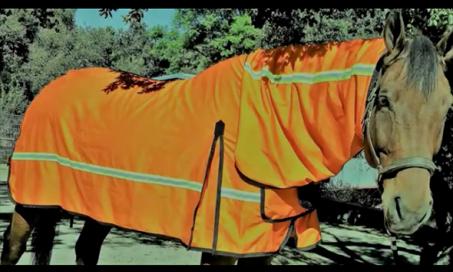 LA-Based Fashion Designer Creates Fire Retardant Horse Blanket With GPS Locator