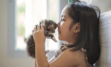 孩子和猫:年龄的责任