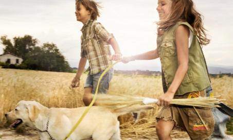 How to Get Children to Participate in Pet Care